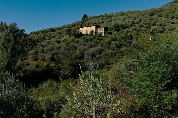 casa indipendente in vendita a Pescia