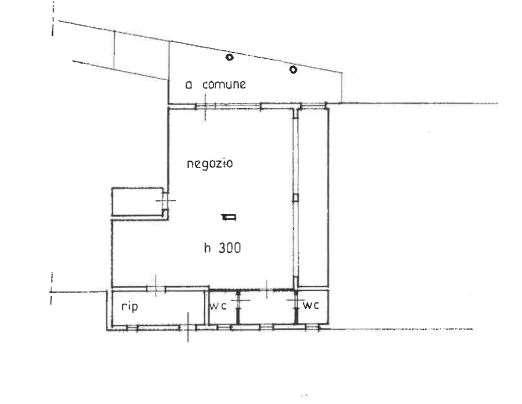appartamento in vendita a Pescia