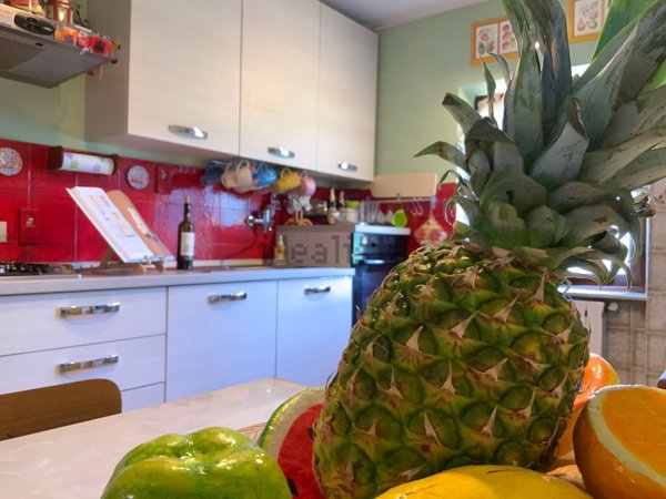 casa semindipendente in vendita a Pescia in zona Aramo