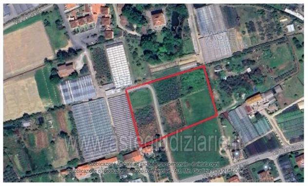 terreno agricolo in vendita a Pescia