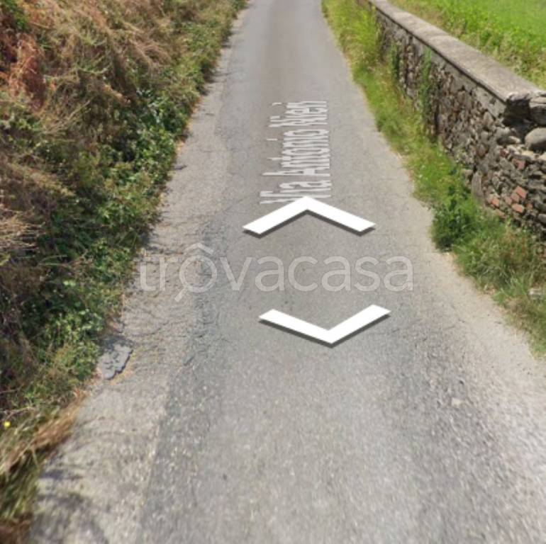 terreno agricolo in vendita a Pescia