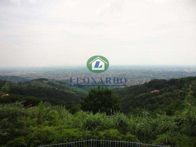 terreno agricolo in vendita a Pescia in zona Vellano