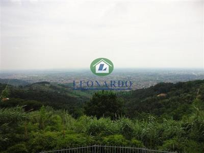 terreno agricolo in vendita a Pescia in zona Vellano