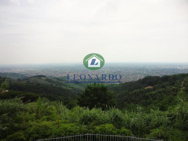 terreno agricolo in vendita a Pescia in zona Vellano