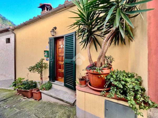 casa indipendente in vendita a Pescia in zona Vellano