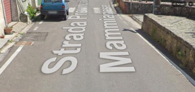 appartamento in vendita a Pescia in zona Castelvecchio