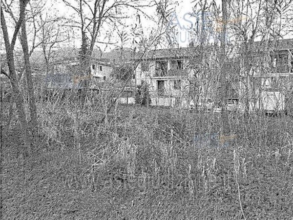 terreno agricolo in vendita a Pescia