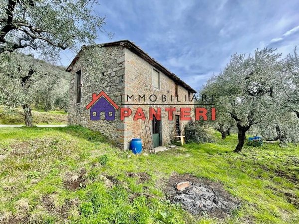 quadrivano in vendita a Pescia in zona Collodi