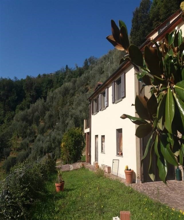 casa indipendente in vendita a Pescia