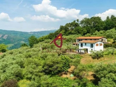 casa indipendente in vendita a Pescia