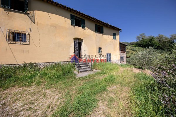 esavano in vendita a Pescia