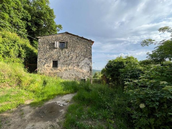 casa indipendente in vendita a Pescia in zona Vellano