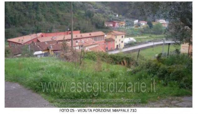 terreno agricolo in vendita a Pescia
