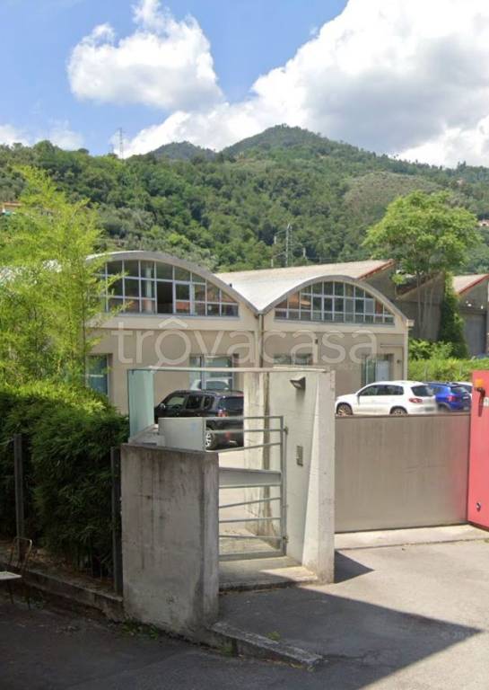 appartamento in vendita a Pescia