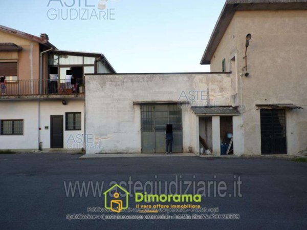 esavano in vendita a Pescia