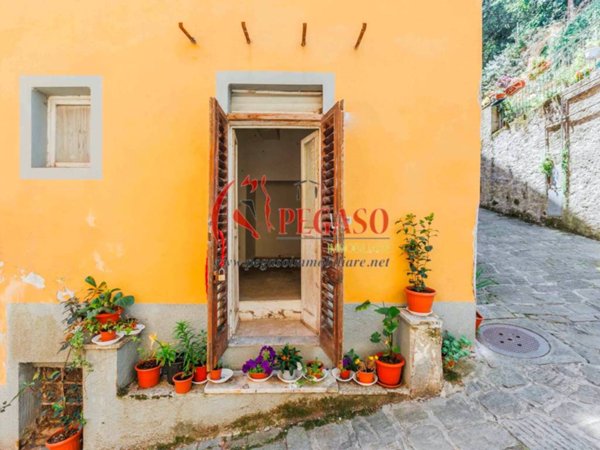 appartamento in vendita a Pescia
