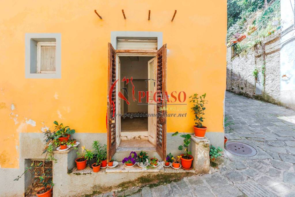 appartamento in vendita a Pescia