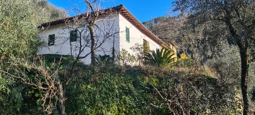 casa indipendente in vendita a Pescia