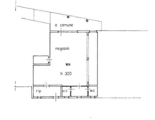 negozio in vendita a Pescia