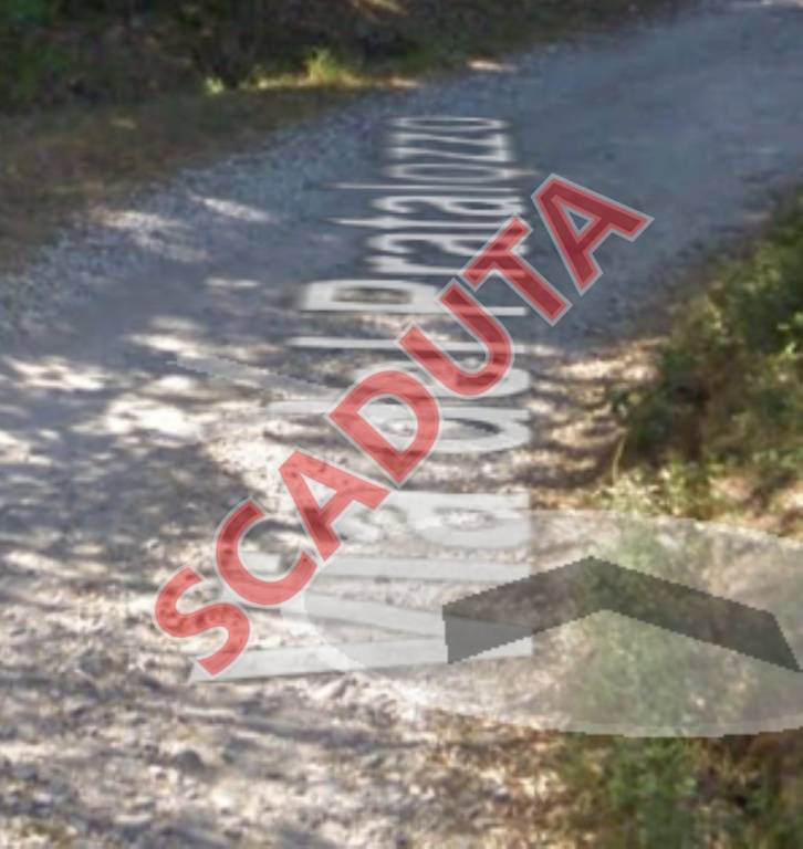 terreno agricolo in vendita a Pescia in zona Veneri