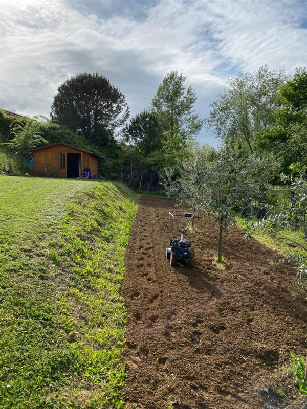 terreno agricolo in vendita a Pescia