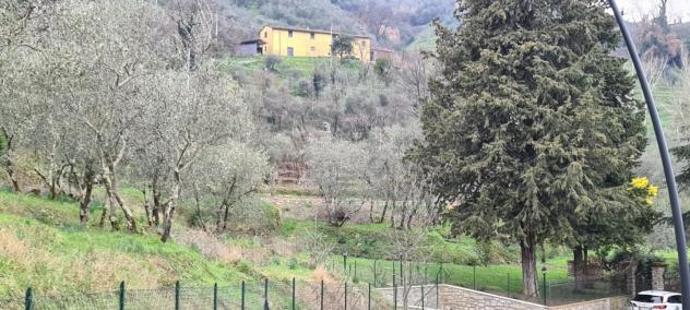 casa indipendente in vendita a Pescia in zona Pietrabuona