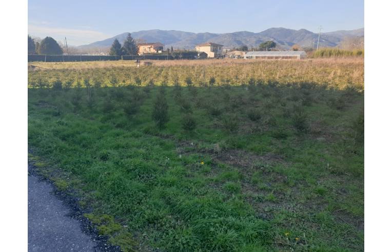 terreno agricolo in vendita a Pescia