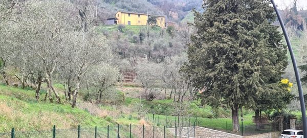 casa indipendente in vendita a Pescia in zona Pietrabuona
