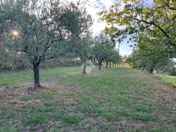 terreno agricolo in vendita a Pescia in zona Veneri