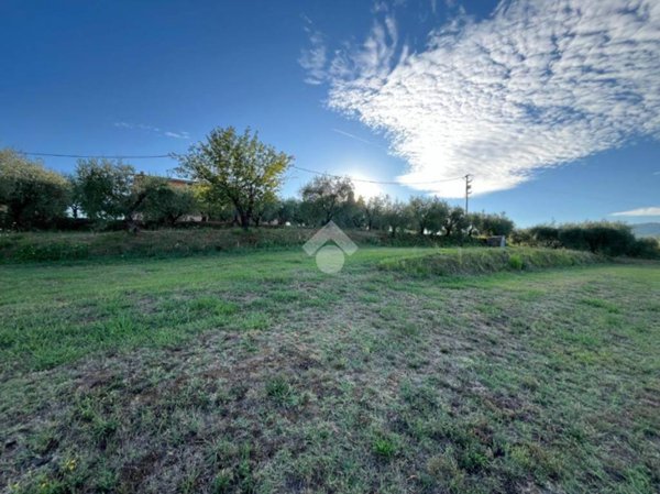 terreno agricolo in vendita a Pescia in zona Veneri