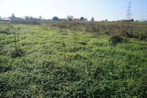 terreno agricolo in vendita a Pescia