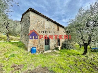 casa indipendente in vendita a Pescia in zona Collodi