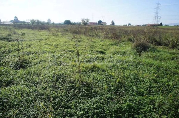 terreno agricolo in vendita a Pescia