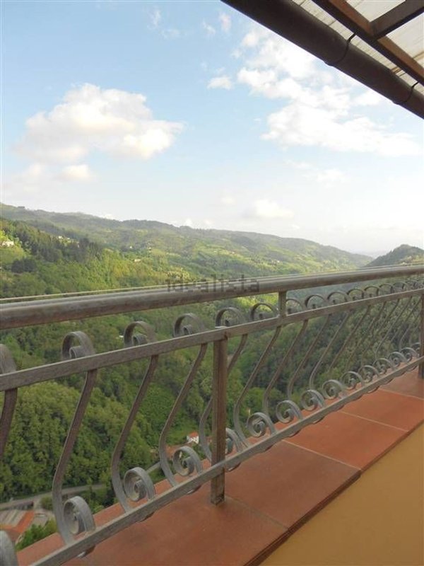 esavano in vendita a Pescia in zona Sorana