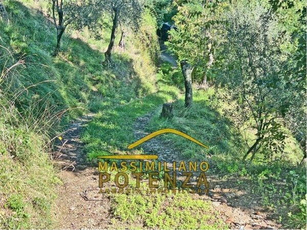 terreno agricolo in vendita a Pescia