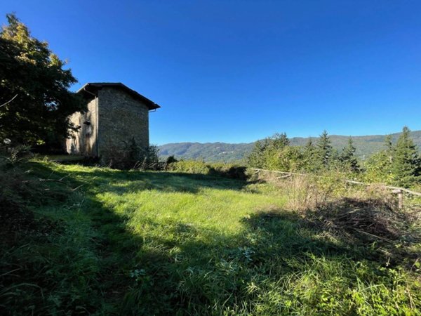 casa indipendente in vendita a Pescia