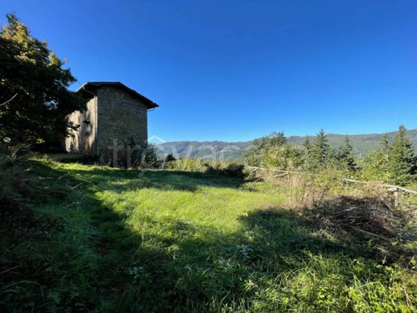 casa indipendente in vendita a Pescia