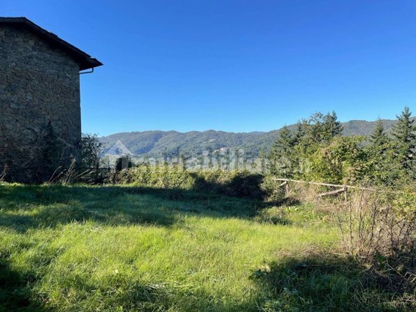 esavano in vendita a Pescia in zona Vellano