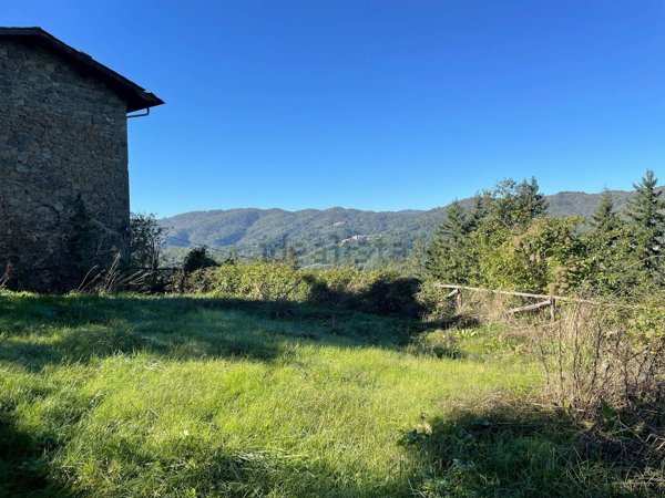esavano in vendita a Pescia in zona Vellano