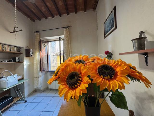 appartamento in vendita a Pescia