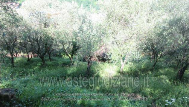 terreno agricolo in vendita a Pescia
