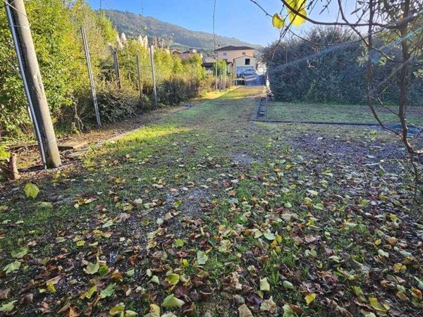 terreno agricolo in vendita a Pescia