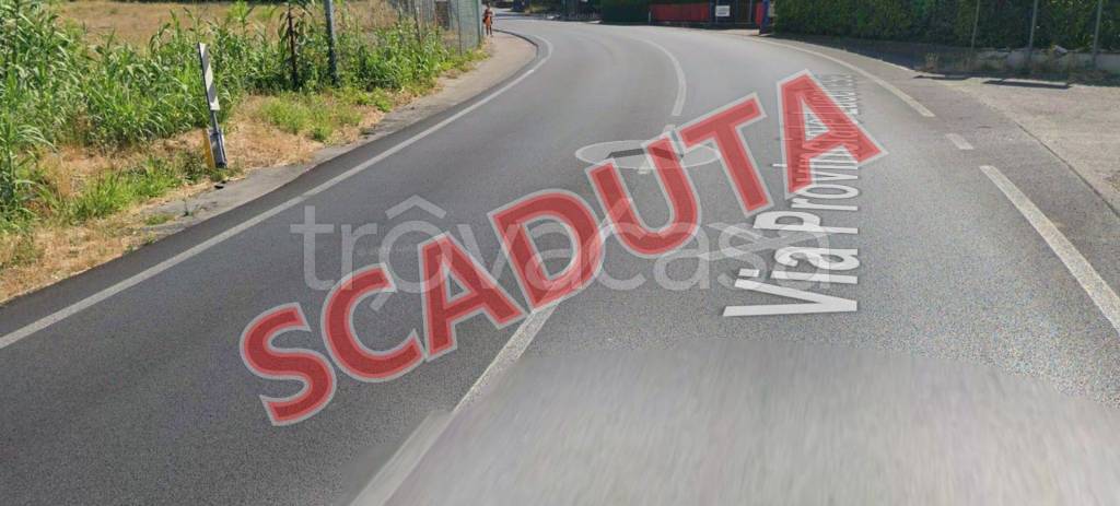 terreno agricolo in vendita a Pescia in zona Collodi