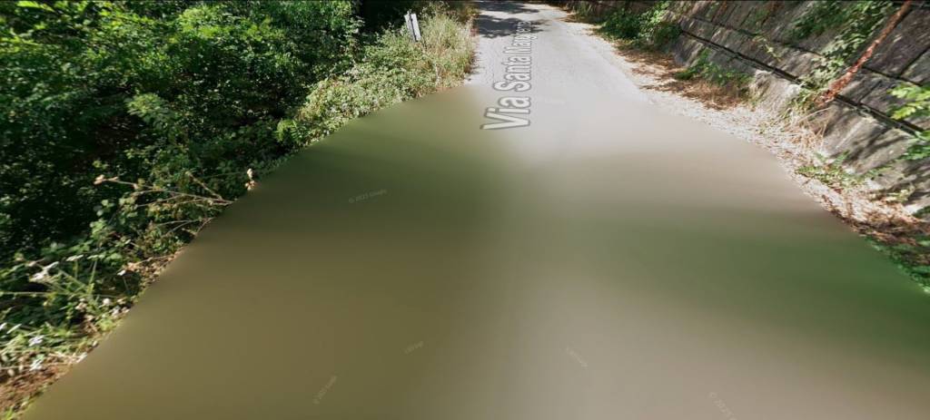 terreno agricolo in vendita a Pescia