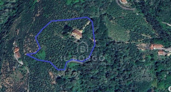 casa indipendente in vendita a Pescia