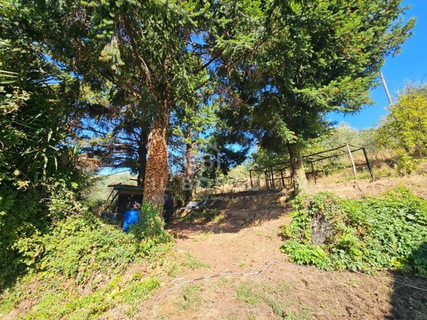 casa indipendente in vendita a Pescia