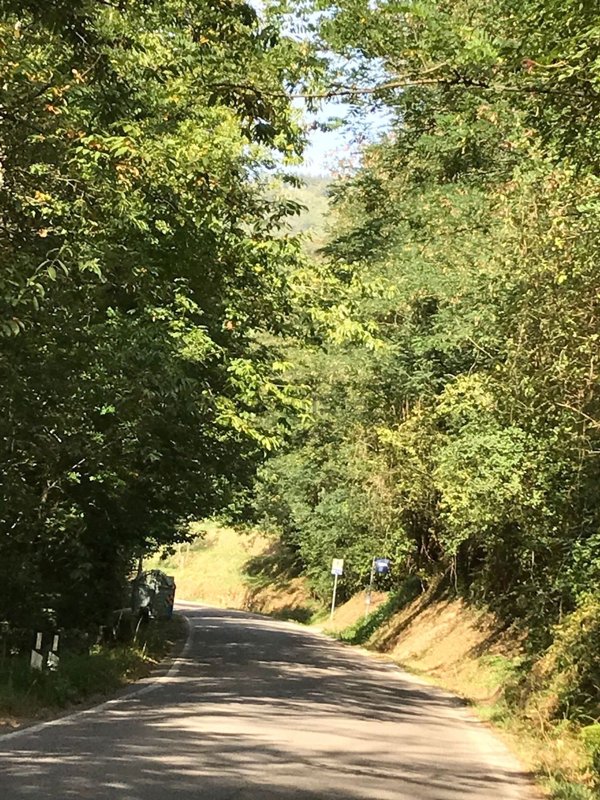 appartamento in vendita a Pescia