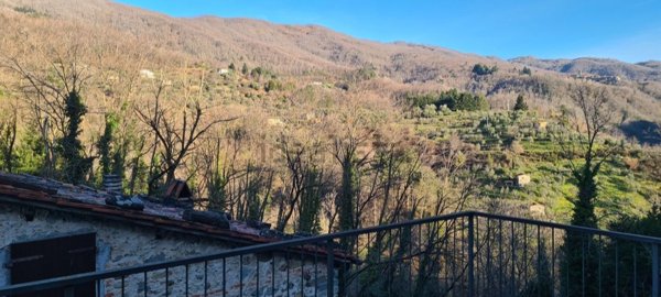 casa indipendente in vendita a Pescia in zona Castelvecchio