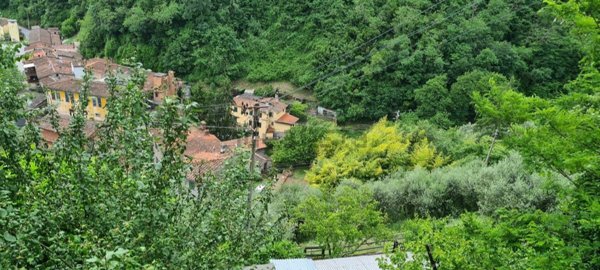 casa indipendente in vendita a Pescia in zona Pietrabuona