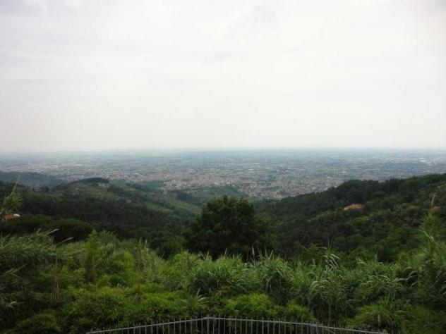 terreno agricolo in vendita a Pescia in zona Vellano